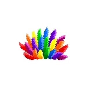 Rainbow Acropora